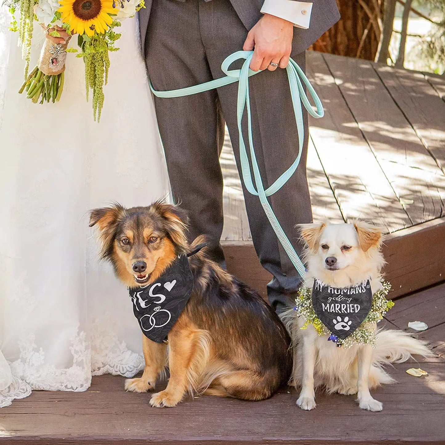 Dog 2 Pack Pet Bib Bandana Scarf for Wedding and festivals.