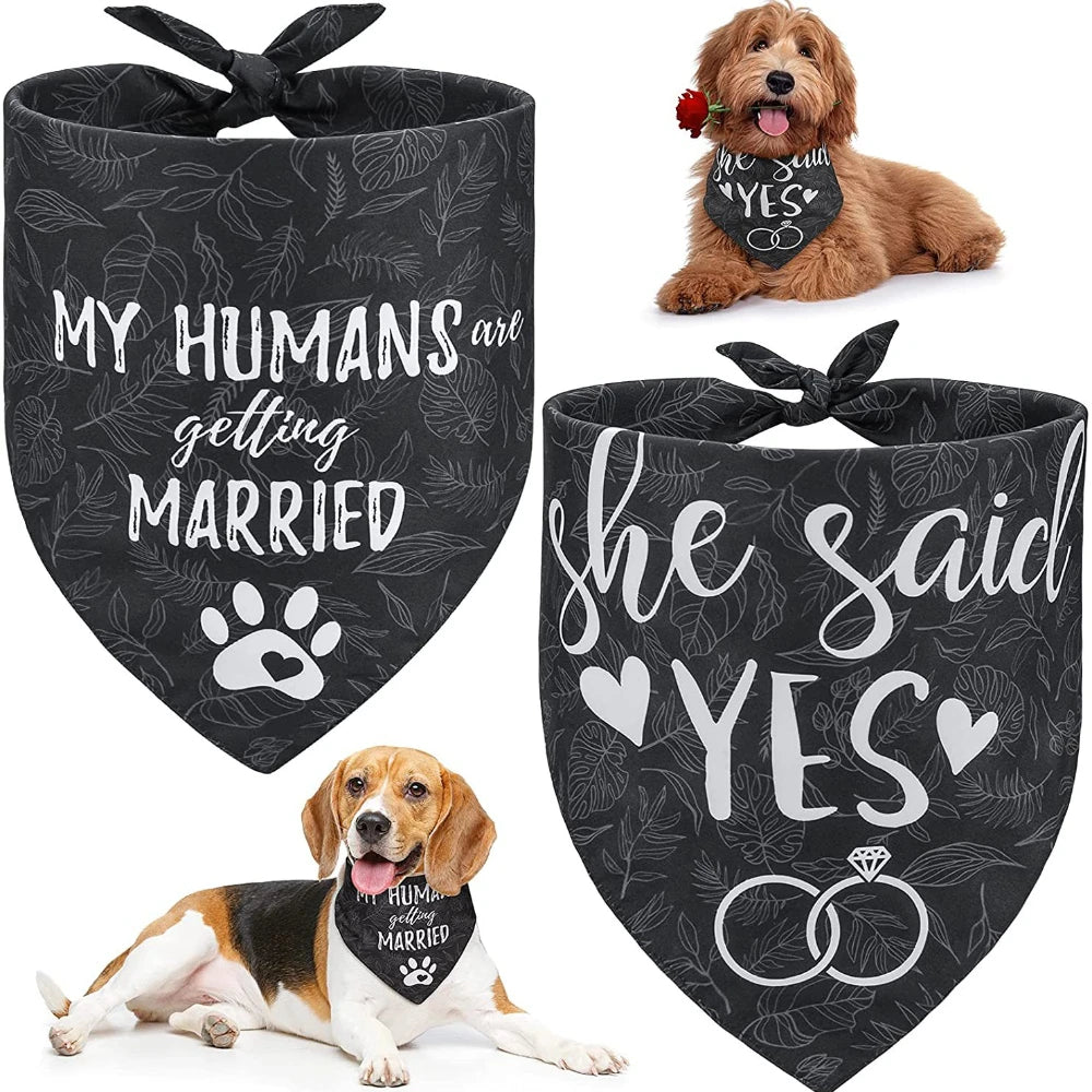 Dog 2 Pack Pet Bib Bandana Scarf for Wedding and festivals.
