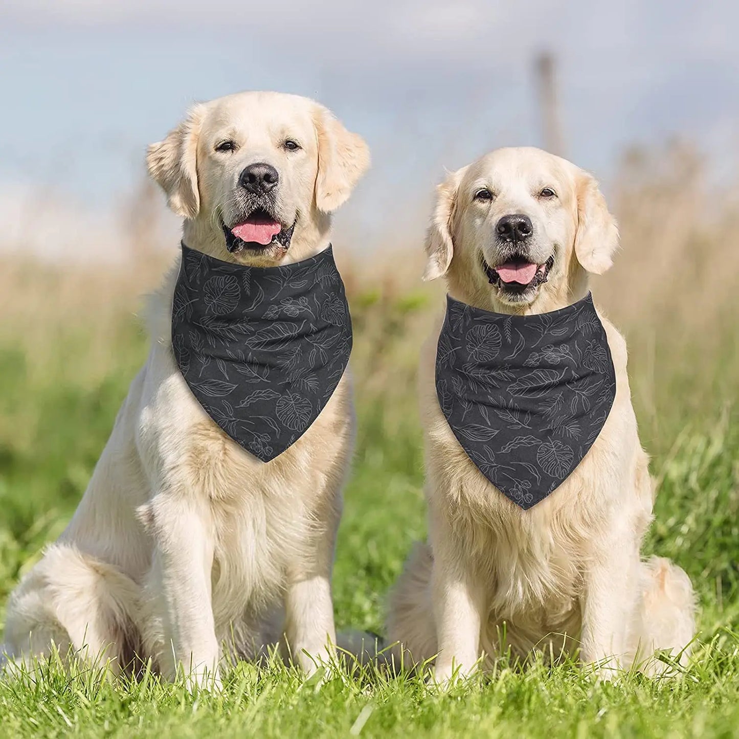 Dog 2 Pack Pet Bib Bandana Scarf for Wedding and festivals.