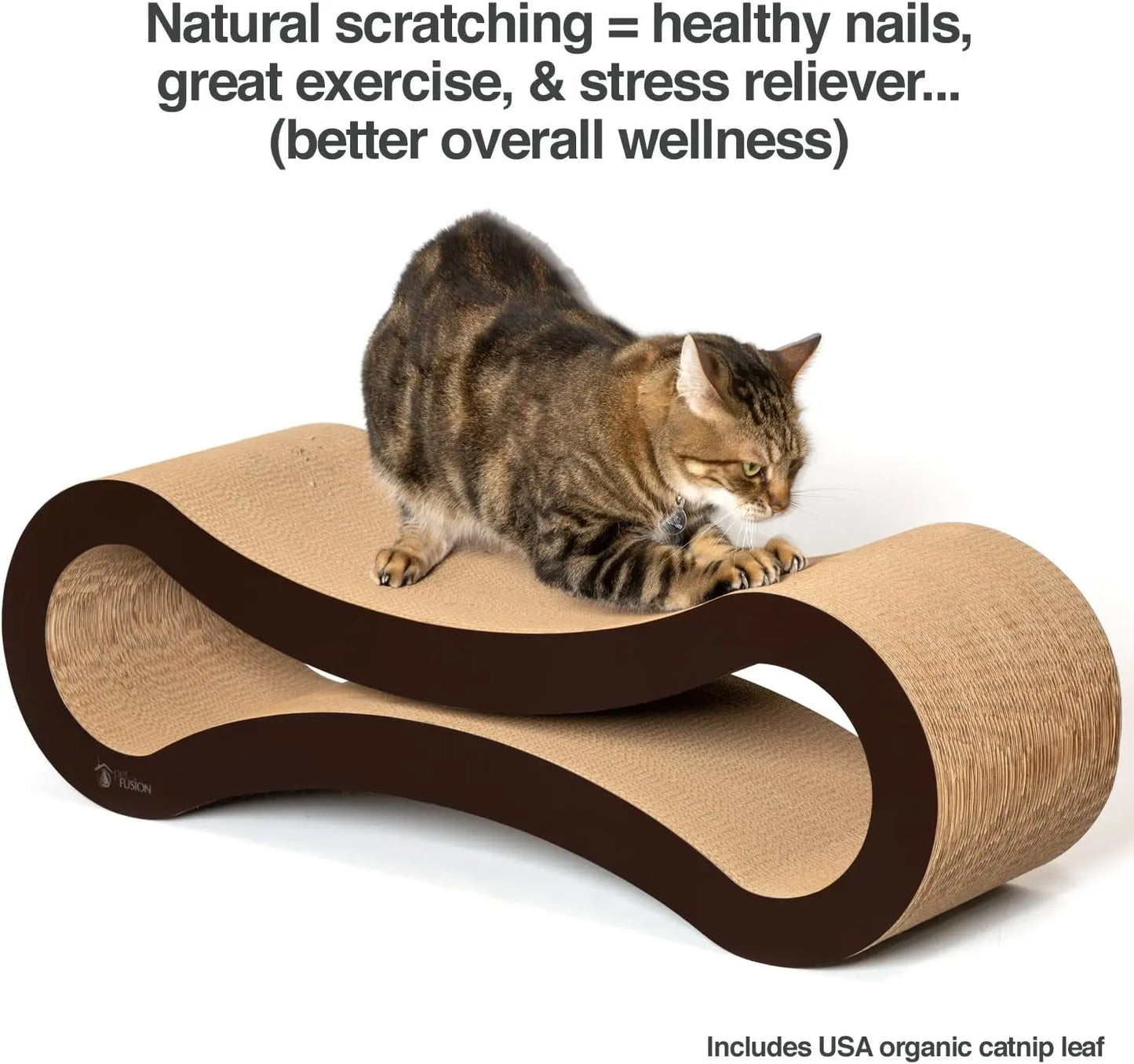 Ultimate Cat Scratcher Lounge.