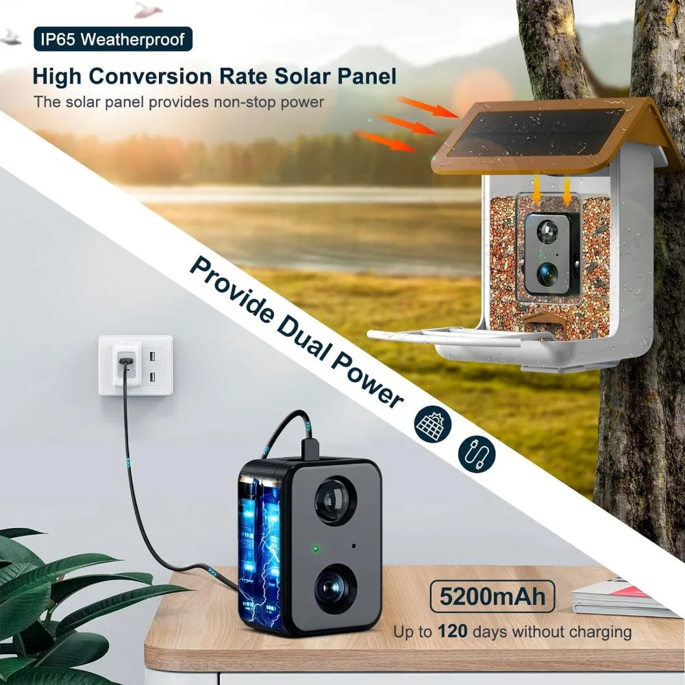 Smart Bird Feeder Camera, Free AI Forever, 1080P HD Camera.