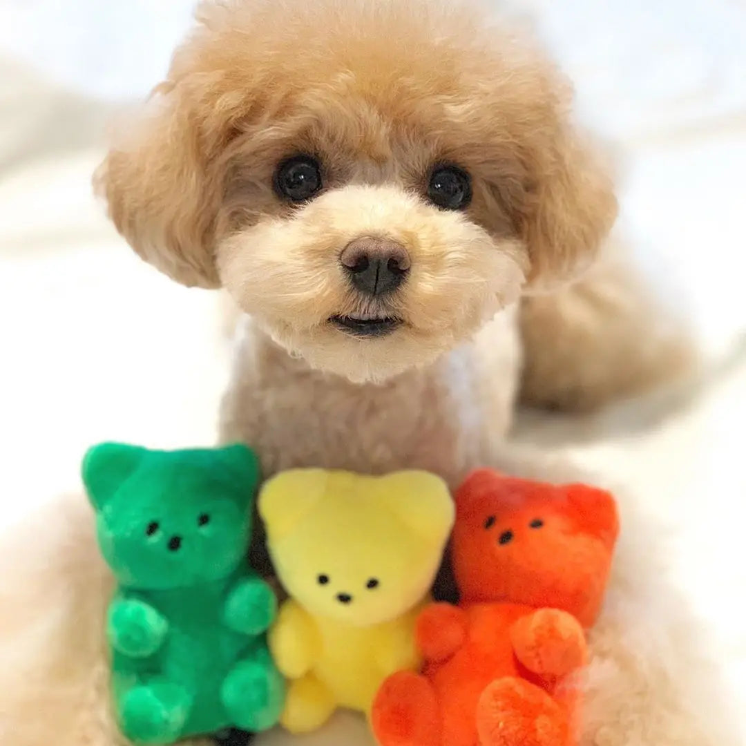 Toys for Small Dogs Puppy Bear Shaped Squeak Toy.