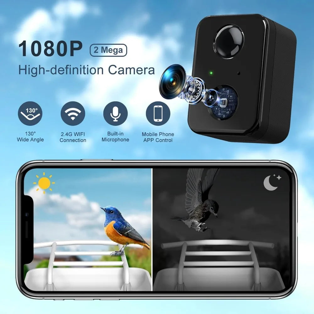 Smart Bird Feeder Camera, Free AI Forever, 1080P HD Camera.