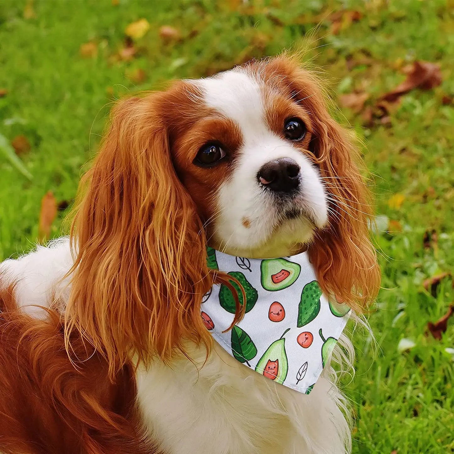 30Pack Spring  Floral And Summer Fruit Cute Dog Bandanas