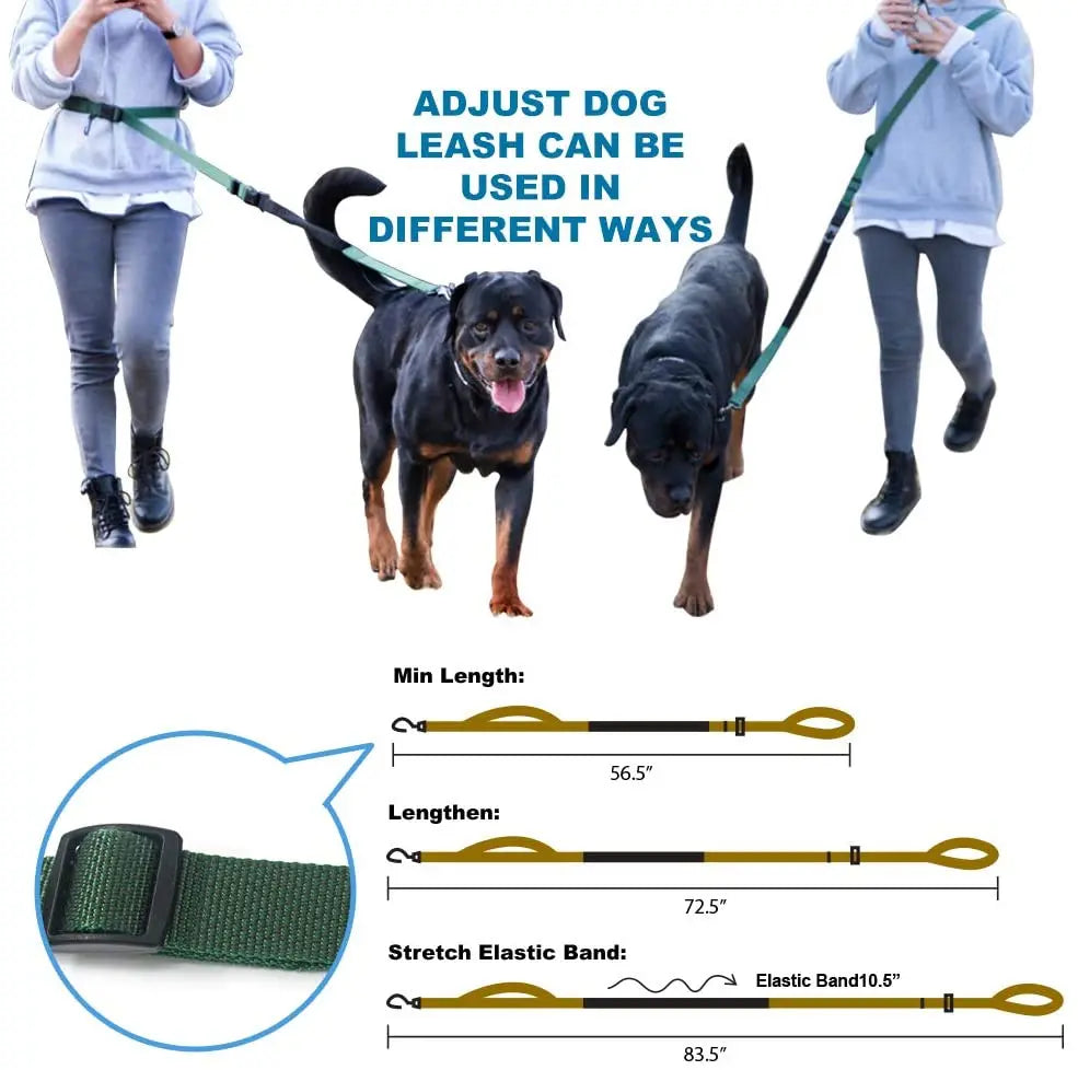 TSPRO Hands Free Dog Leash for Walking Running with Safety Car Seat Belt