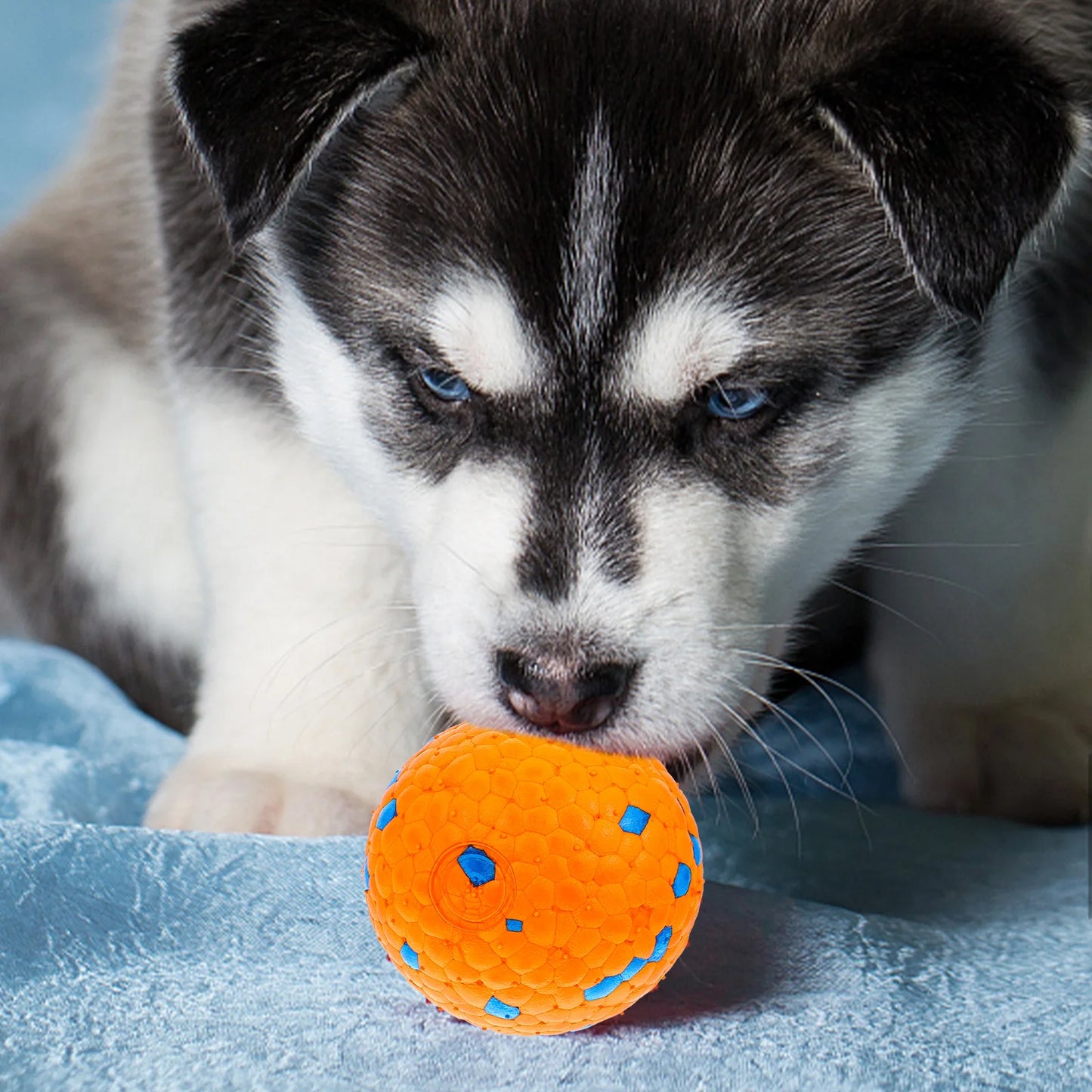 Puppy Chew Toys Pet Dog Ball Teething Interactive Training.