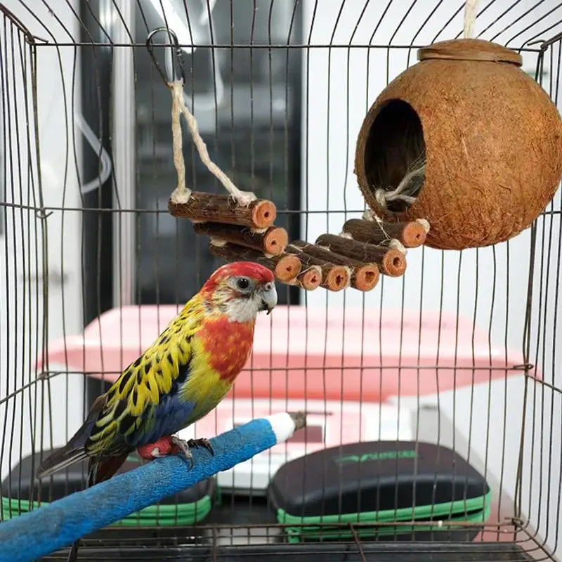 Coconut Hide Natural Bird Hide Can Store Food And Provide Warmth For Pets .