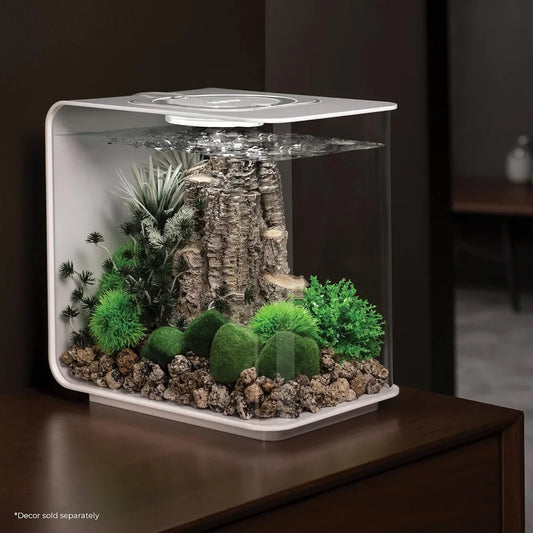 Acrylic Aquarium With White LED Light Modern Tank for Tabletop Display.