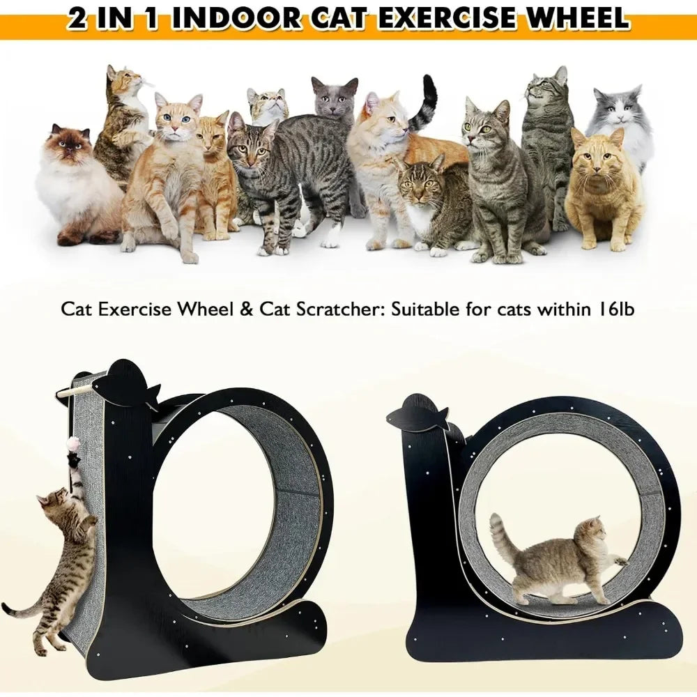 Cats Wooden Cat Sport Exercise.  Silent Wheel Pets Things