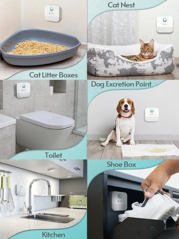 DownyPaws 4000mAh Smart Cat Odor Purifier For Cat Litter Box