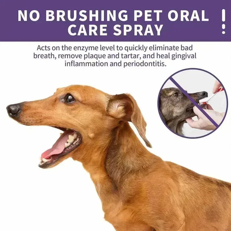 Pet Oral Cleanse Spray Dogs Cats Mouth Fresh Teeth Clean Deodorant Prevent Calculus.