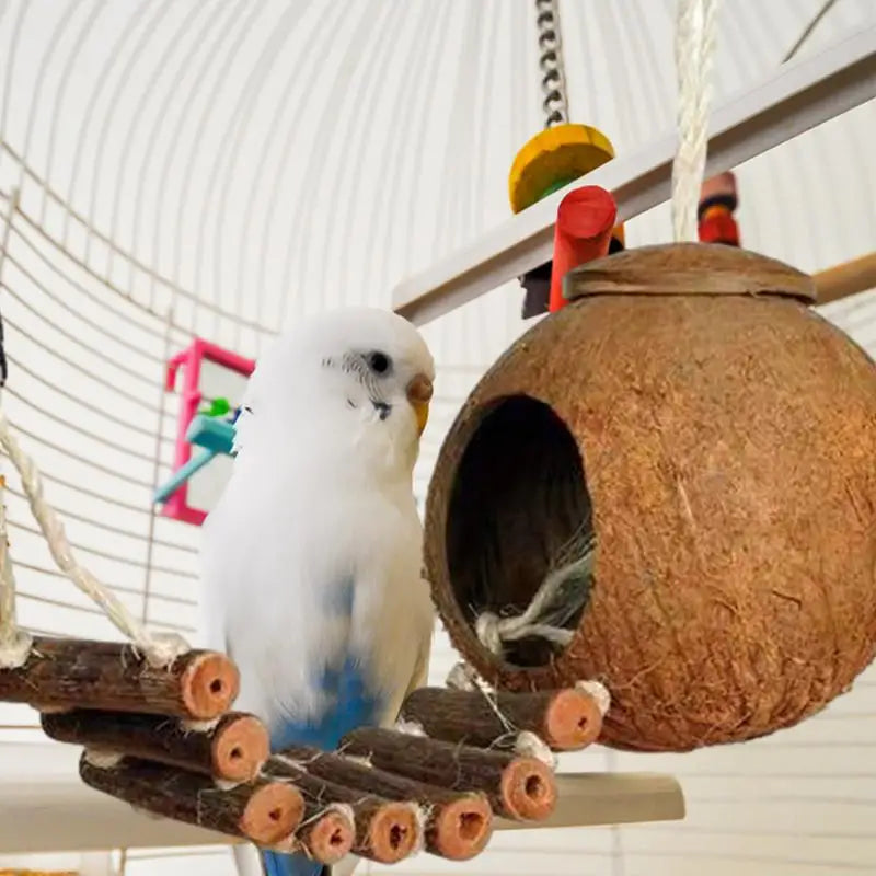 Coconut Hide Natural Bird Hide Can Store Food And Provide Warmth For Pets .