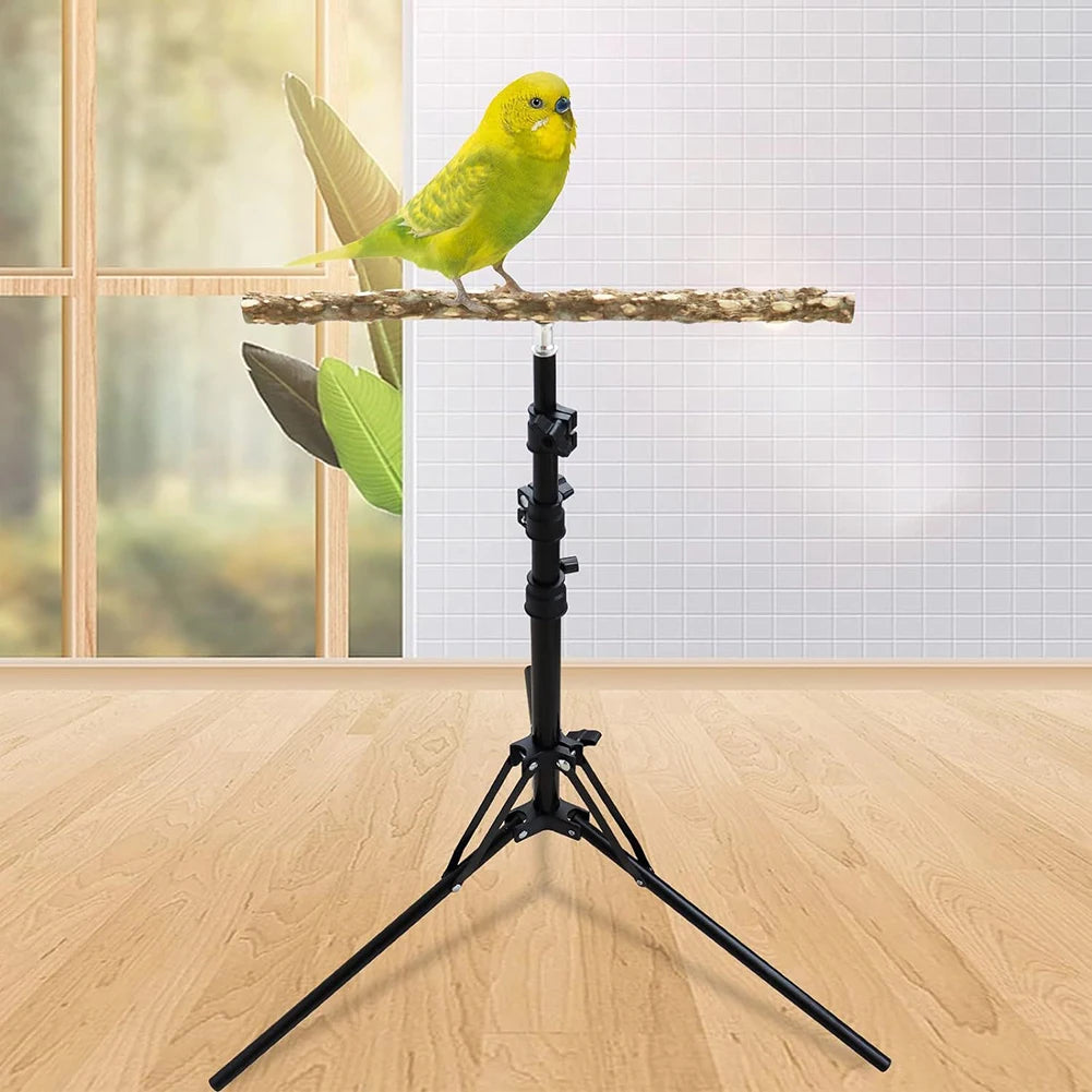 Adjustable Height Outdoor Bird Stands For Small Medium Birds.