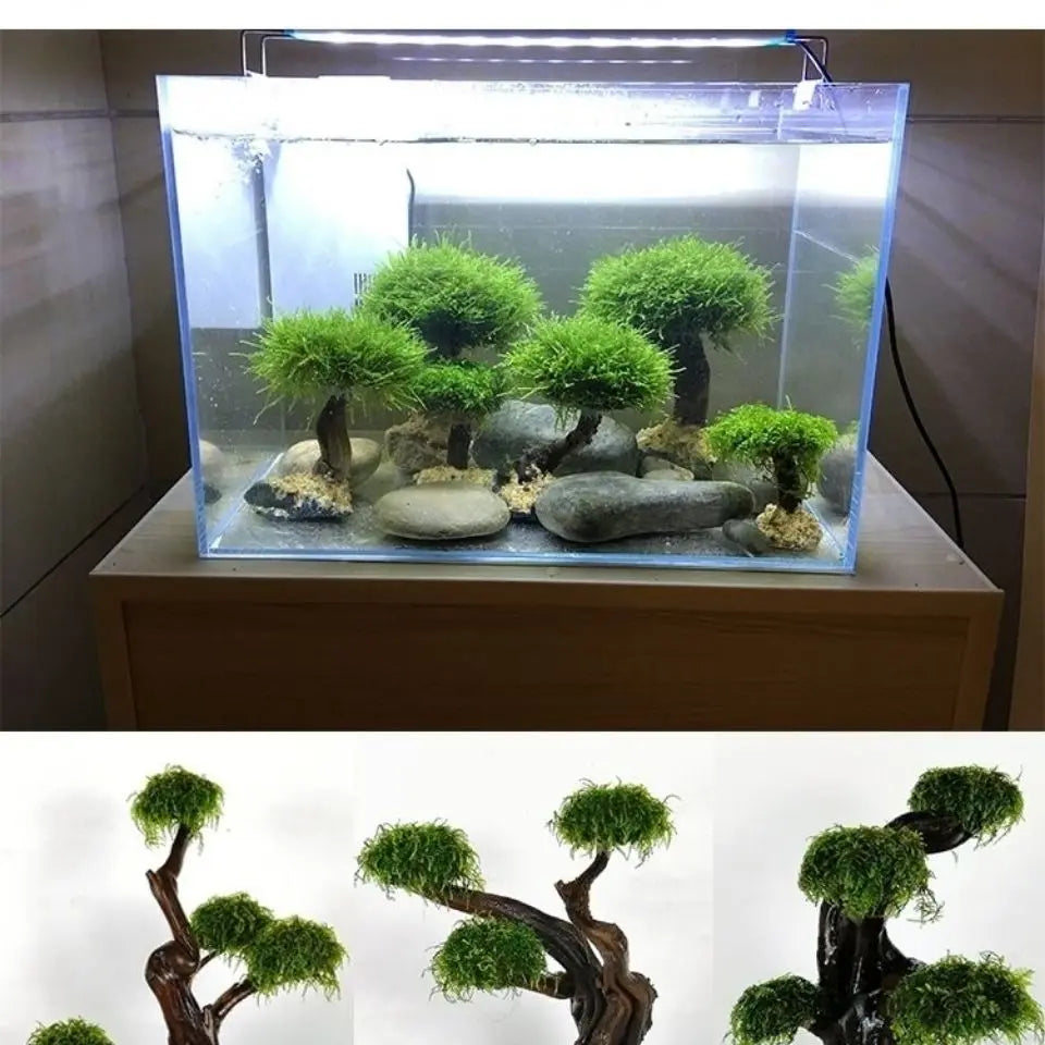 Fish tank greening wood. Moss tree frame (no Moss) aquarium planting driftwood decoration