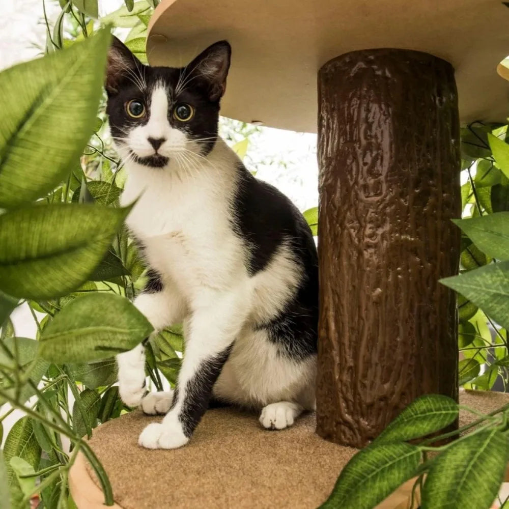 Multi-Level Cat tree Condo with leaves for Indoor Cats