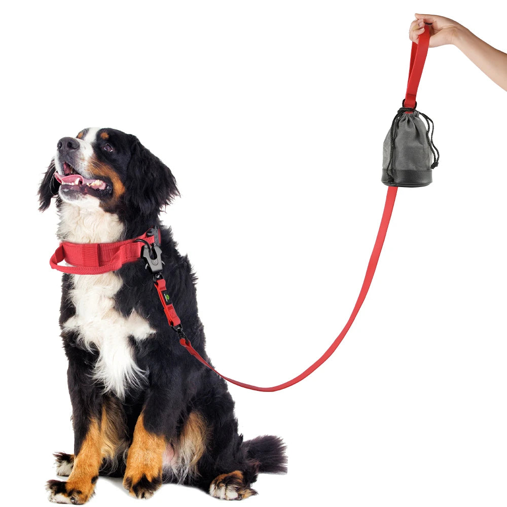 5FT Pvc Training Durable Handle Quick Release Frog Clip Lead line Waterproof lead line Dog Leash