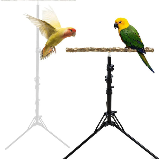 Adjustable Height Outdoor Bird Stands For Small Medium Birds.