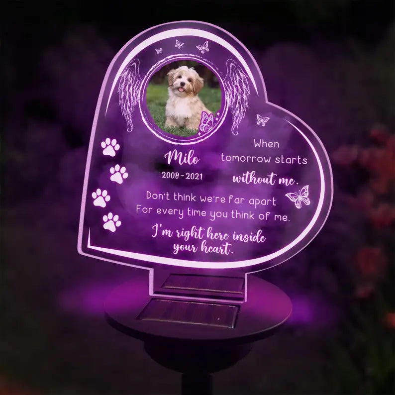 Personalized Pet Memorial Solar Light Custom Dog Photo Grave Decorations.