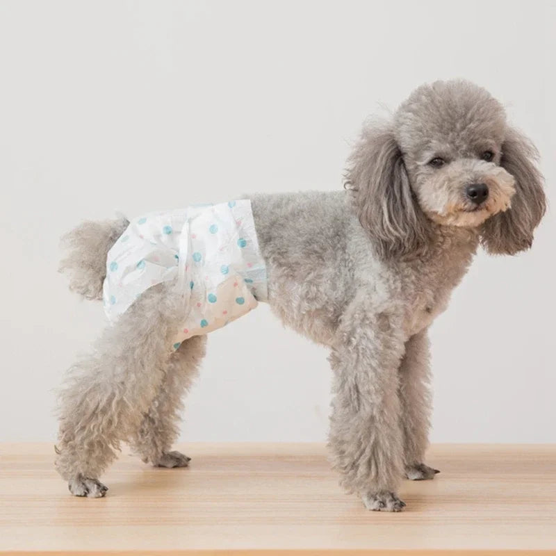 Female Dog Diaper for Teddy, Leakproof Nappies, Super Absorption.