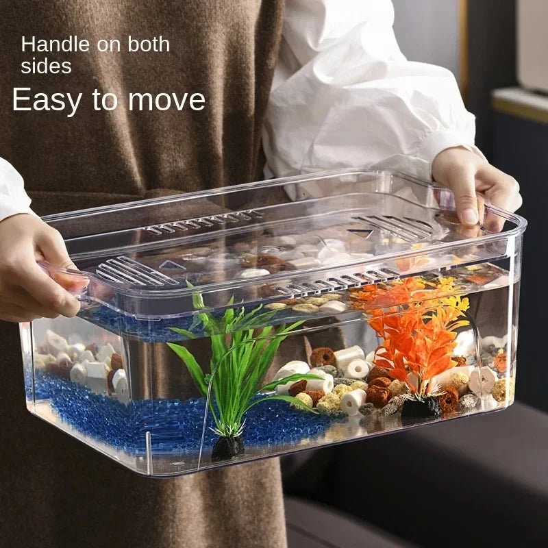 Betta Ecological Fish Tank Home Aquarium Transparent Living Room Desktop Landscaping.