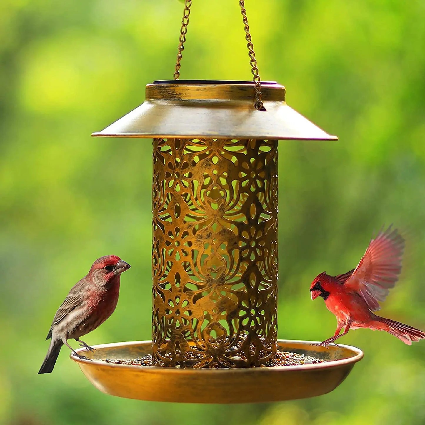 Outdoor Solar Powered Light Metal Suspended Bird Feeder Dual Purpose Feeding and Watering.