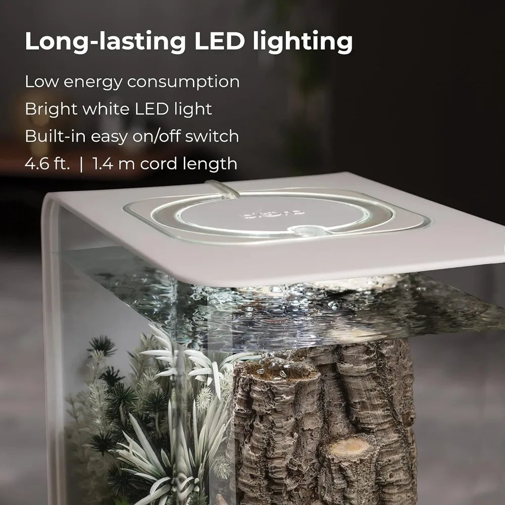 Acrylic Aquarium With White LED Light Modern Tank for Tabletop Display.